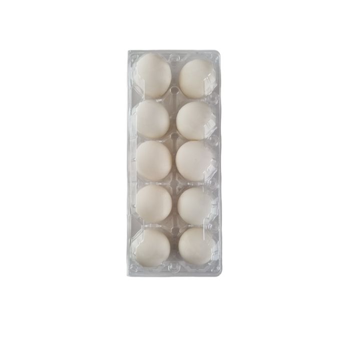 10-Egg Large Plastic Duck Egg Cartons - Clear Flat Top Carton