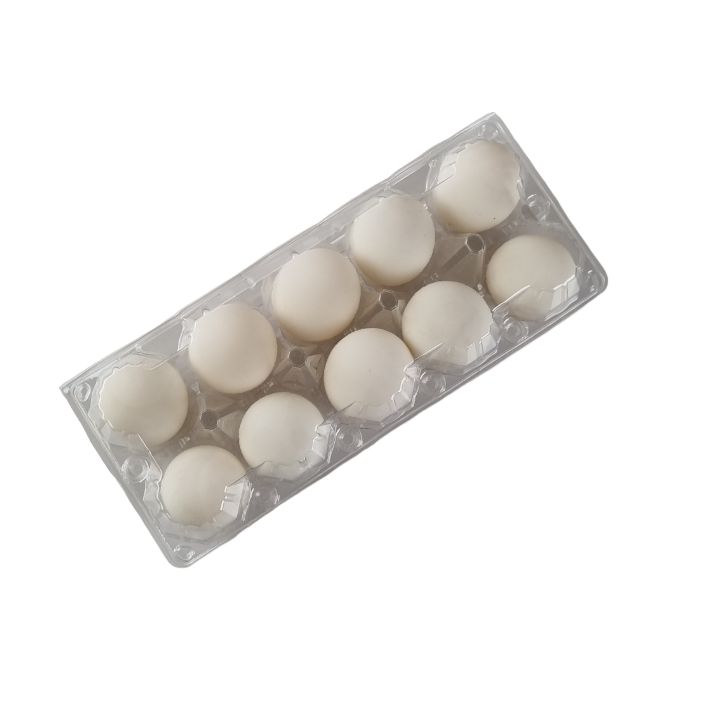 10-Egg Large Plastic Duck Egg Cartons - Clear Flat Top Carton