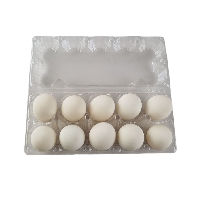 10-Egg Large Plastic Duck Egg Cartons - Clear Flat Top Carton