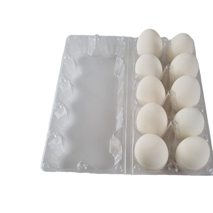 10-Egg Large Plastic Duck Egg Cartons - Clear Flat Top Carton