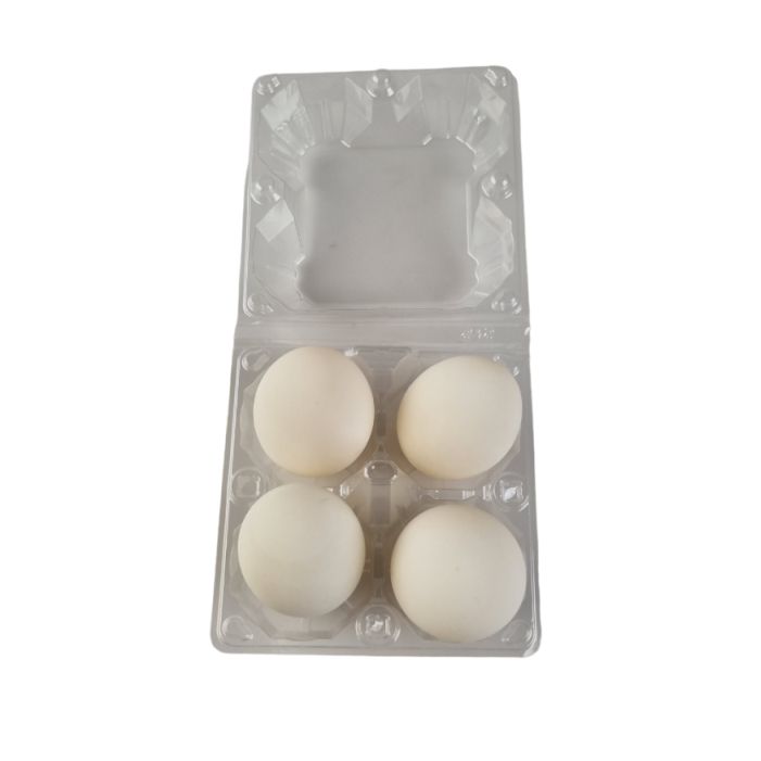 4-Egg Large Plastic Duck Egg Cartons - Clear Flat Top Carton