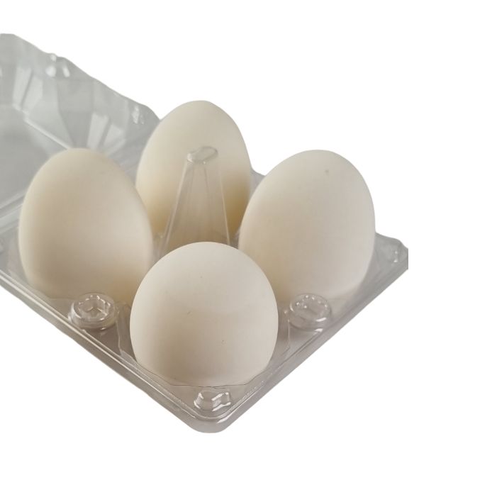 4-Egg Large Plastic Duck Egg Cartons - Clear Flat Top Carton