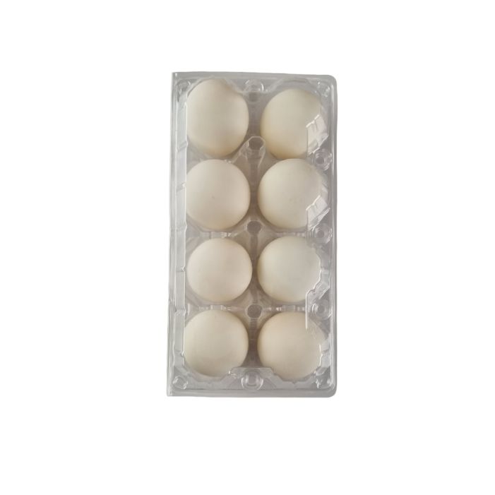 8-Egg Large Plastic Duck Egg Cartons - Clear Flat Top Carton