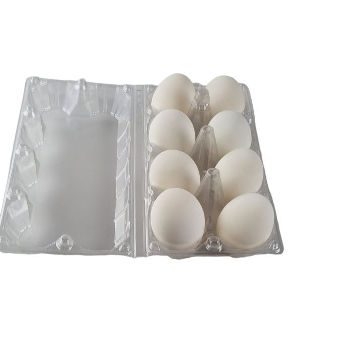 8-Egg Large Plastic Duck Egg Cartons - Clear Flat Top Carton