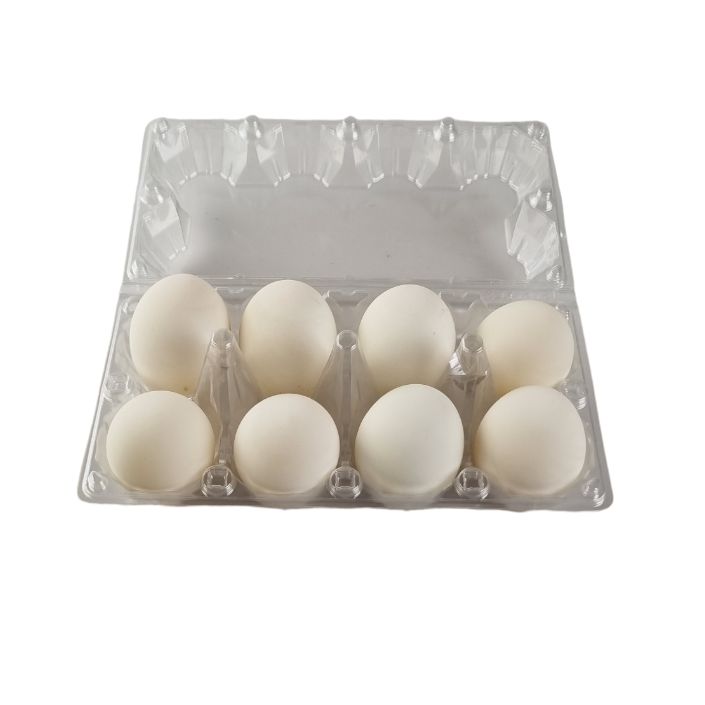 8-Egg Large Plastic Duck Egg Cartons - Clear Flat Top Carton