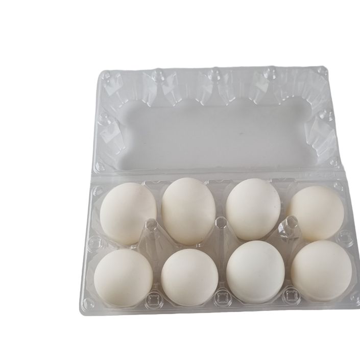 8-Egg Large Plastic Duck Egg Cartons - Clear Flat Top Carton