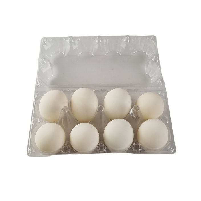 8-Egg Large Plastic Duck Egg Cartons - Clear Flat Top Carton