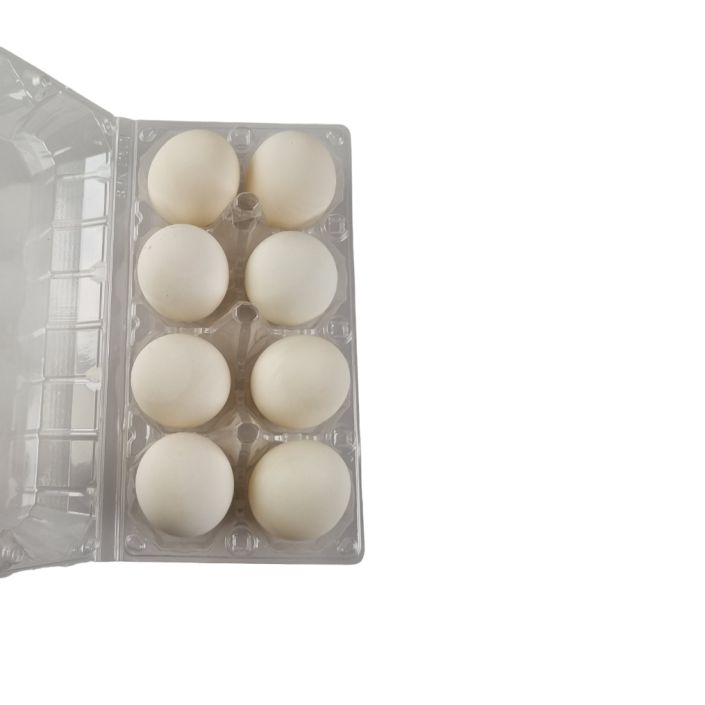 8-Egg Large Plastic Duck Egg Cartons - Clear Flat Top Carton