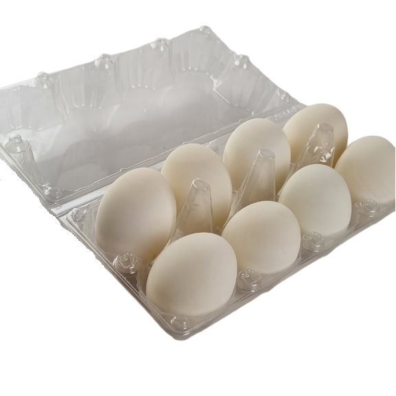 8-Egg Large Plastic Duck Egg Cartons - Clear Flat Top Carton