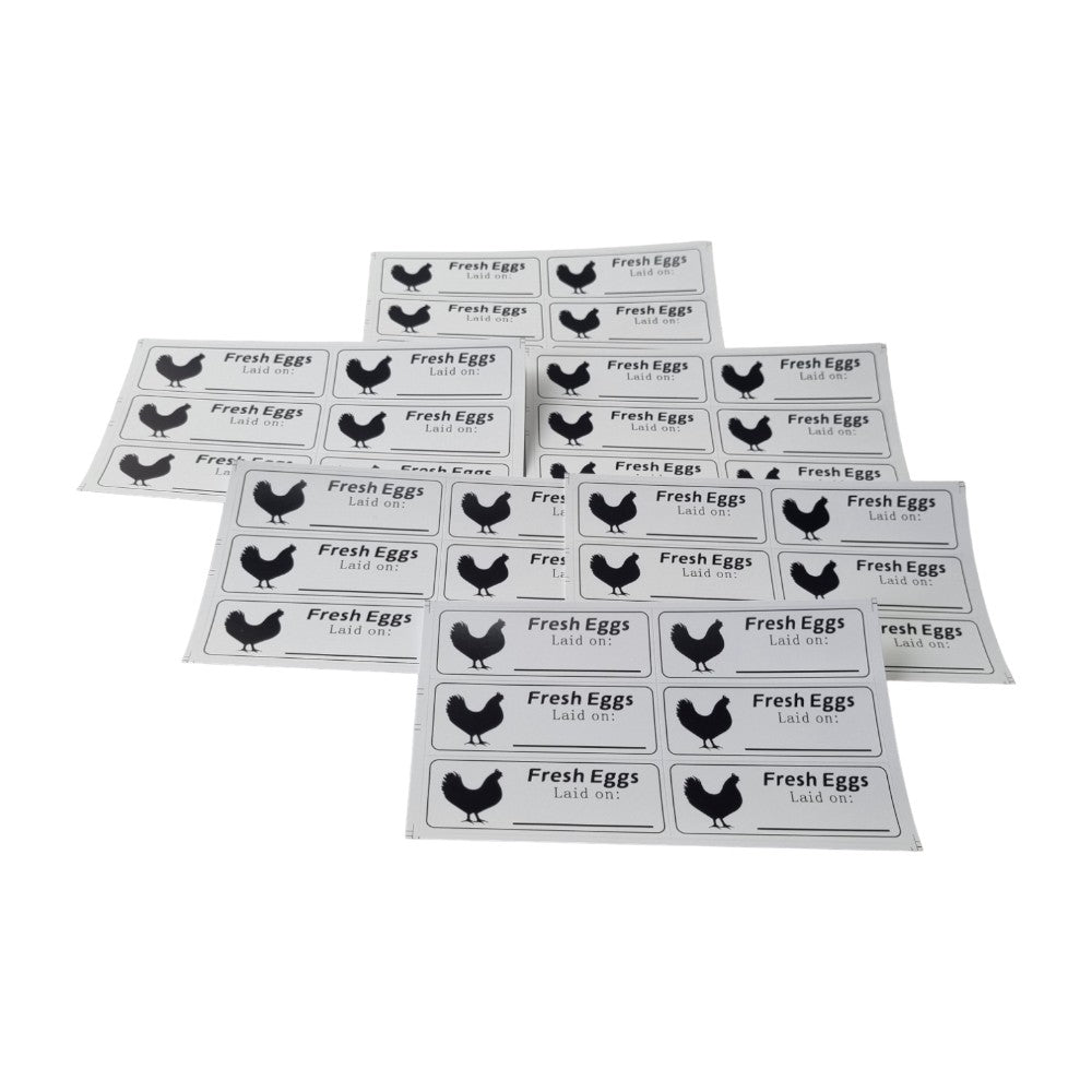 Rectangular Egg Carton Date Label Sticker - Generic Rectangle Chicken Adhesive Labels 8cm X 3cm