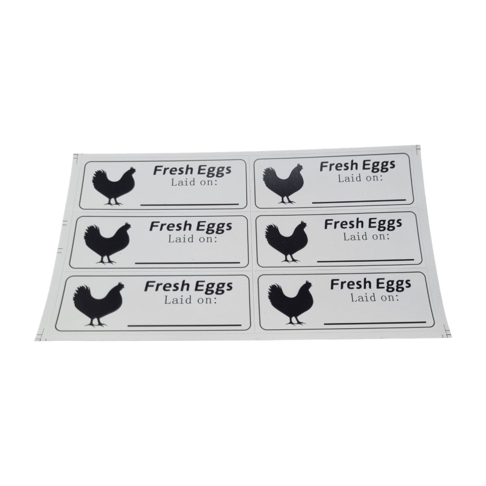 Rectangular Egg Carton Date Label Sticker - Generic Rectangle Chicken Adhesive Labels 8cm X 3cm