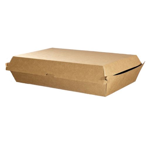 Large Kraft Brown Disposable Family Pack Boxes Bulk Takeaway Box