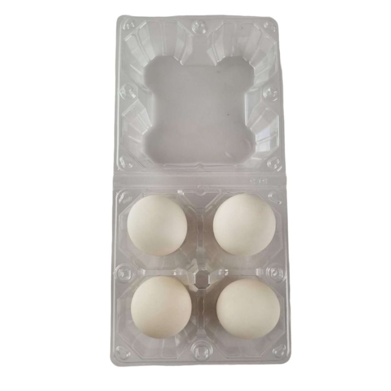 4-Egg Extra Large Plastic Goose Egg Cartons - Clear Flat Top Carton