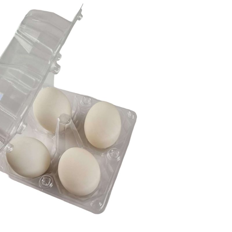 4-Egg Extra Large Plastic Goose Egg Cartons - Clear Flat Top Carton