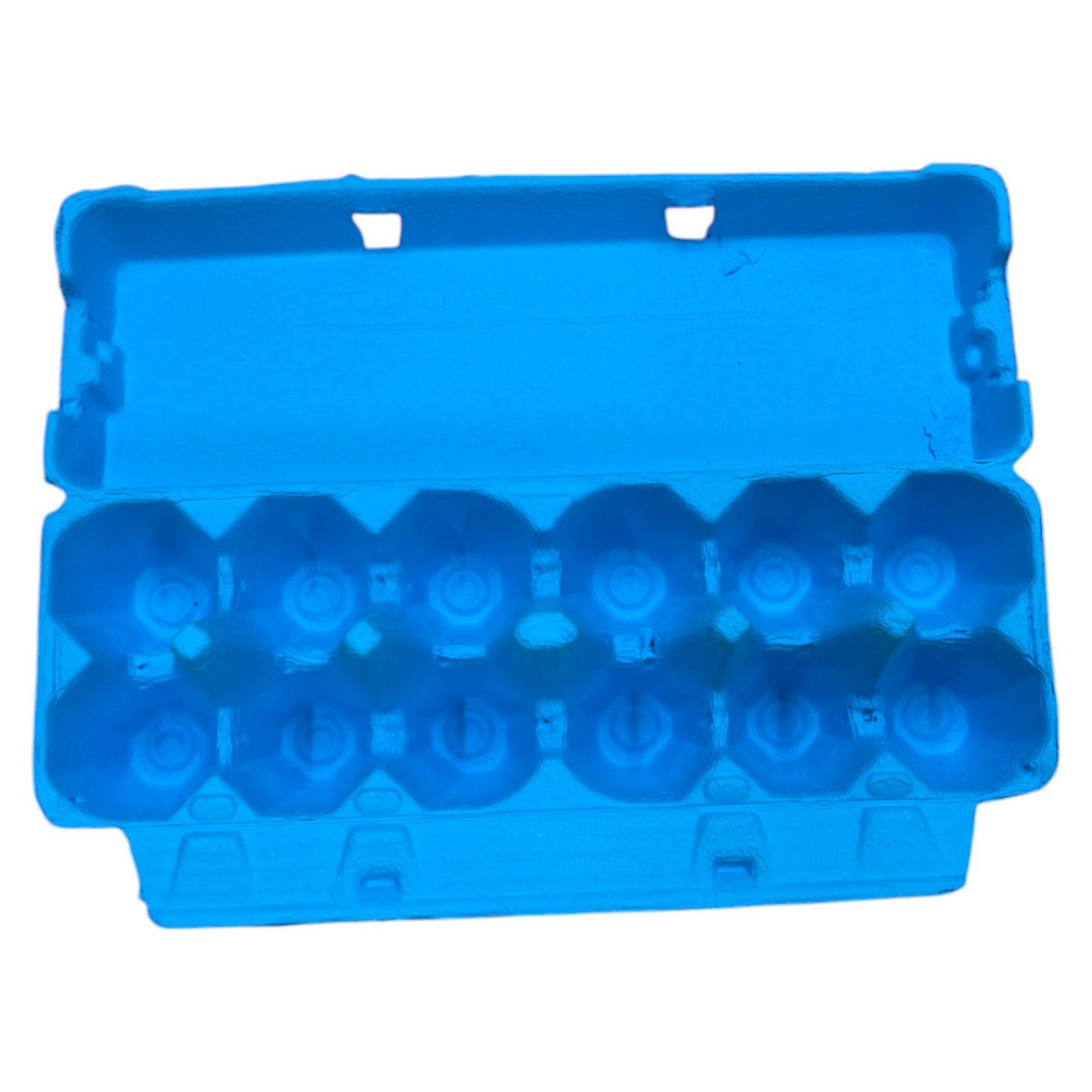 12-Egg King Size Egg Cartons For Large Full Dozen Eggs - Blue Flat Top Carton