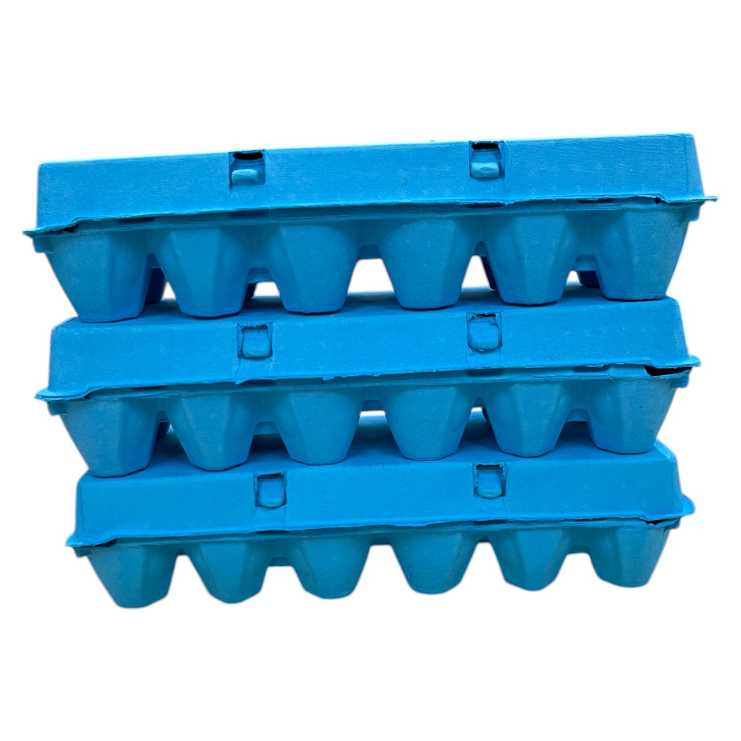 12-Egg King Size Egg Cartons For Large Full Dozen Eggs - Blue Flat Top Carton