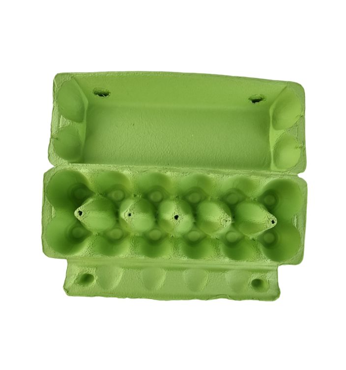 12 Egg Cartons For Full Dozen Eggs Lime Green Flat Top Carton Au